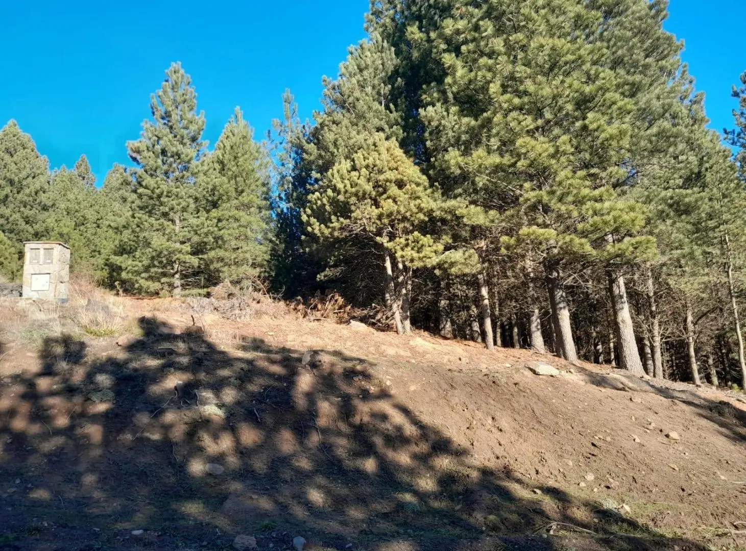 Lote de 3000m2  - El Desafio Mountain Resort - San Martin de los Andes 4