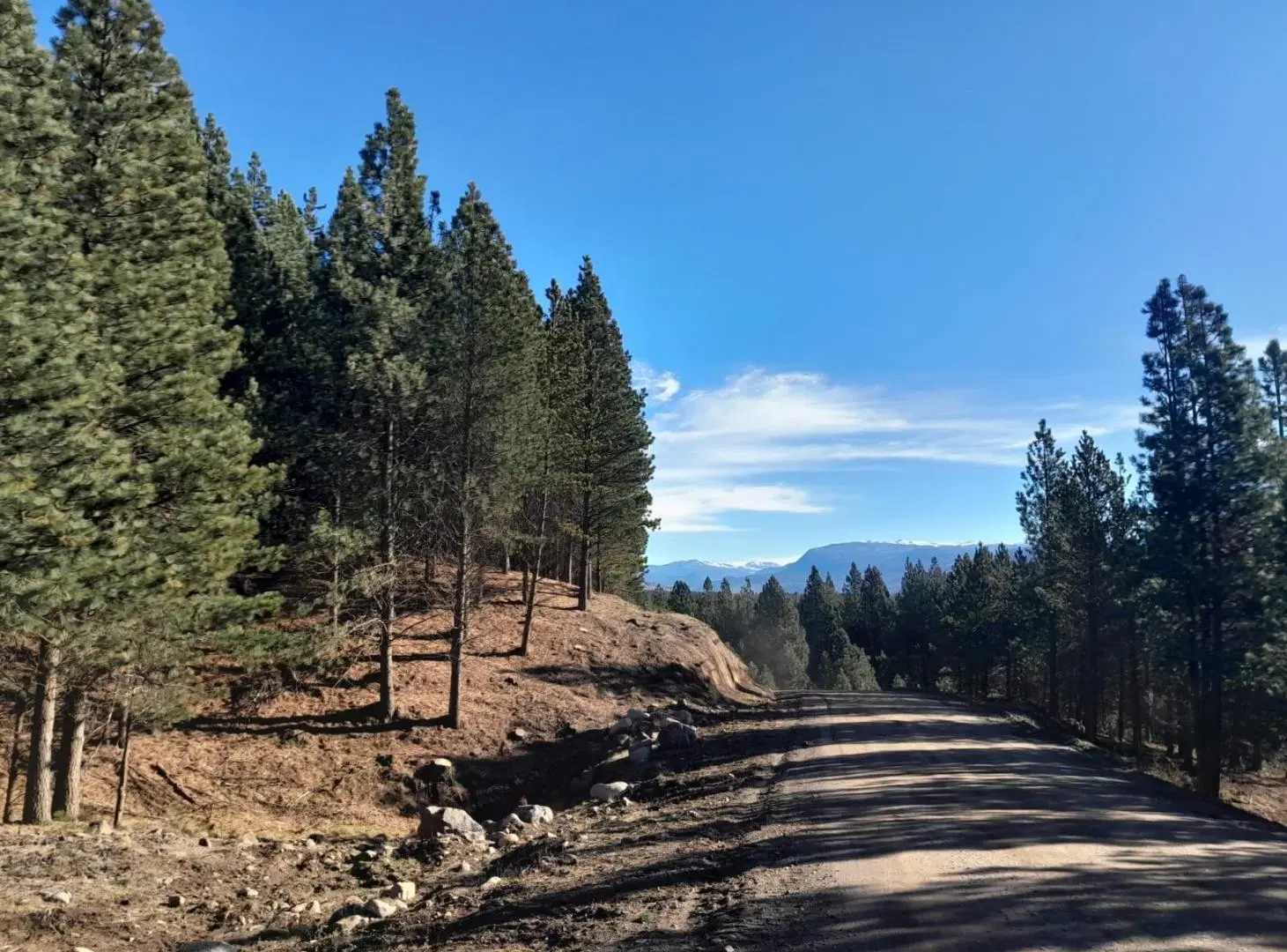 Lote de 3000m2  - El Desafio Mountain Resort - San Martin de los Andes 2