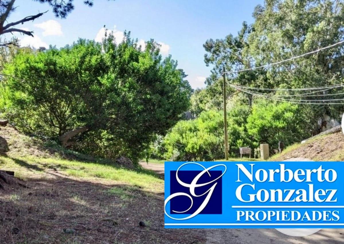 En Venta en Mar Azul Dos Los Lotes de Terrenos Juntos de 625 m Totales Juntos o Separados F: 9 1