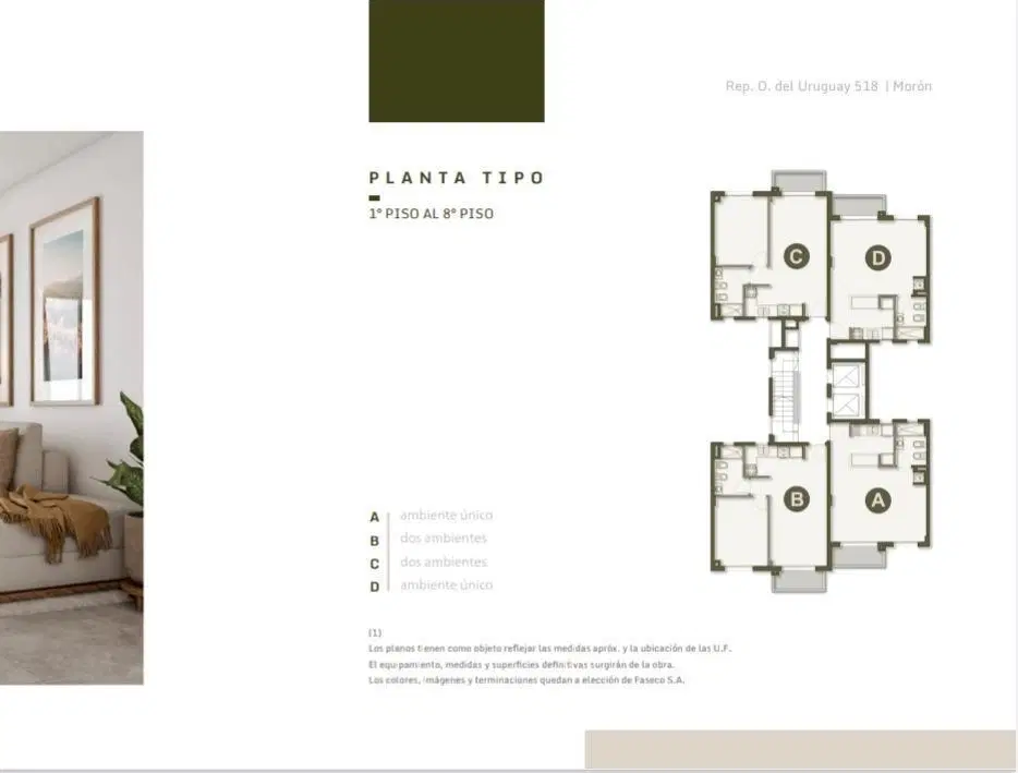 Plano 6