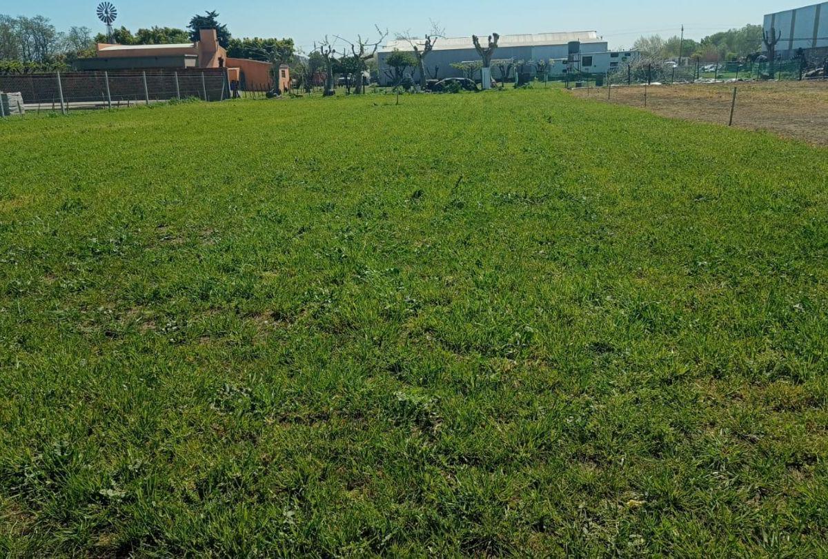 Lote. | 39 5 y 7 3