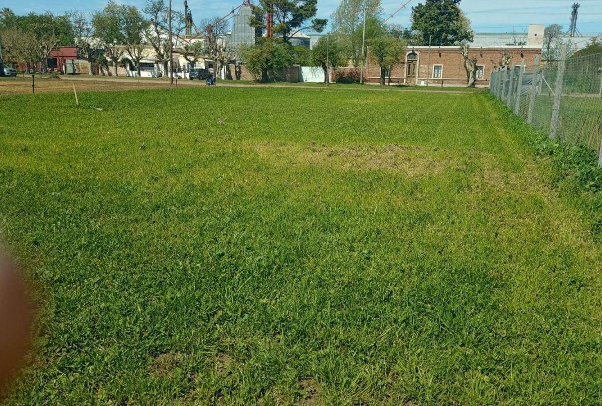 Lote. | 39 5 y 7 4