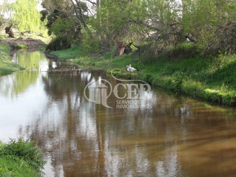 Venta Campo "Inmejorable Oportunidad" 370 Hs. "Agrícolas" 5