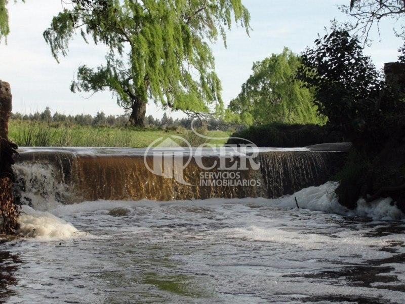 Venta Campo "Inmejorable Oportunidad" 370 Hs. "Agrícolas" 1