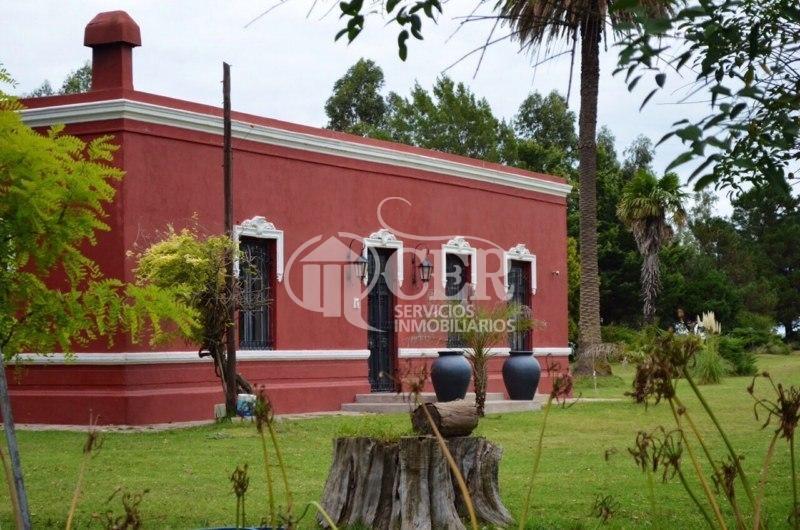 Venta Campo "Inmejorable Oportunidad" 370 Hs. "Agrícolas" 3