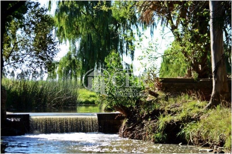 Venta Campo "Inmejorable Oportunidad" 370 Hs. "Agrícolas" 4