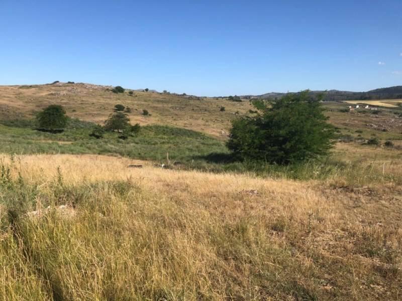 Venta Ultimos 5 Lotes Disponibles Barrio Residencial "Tandil" 5