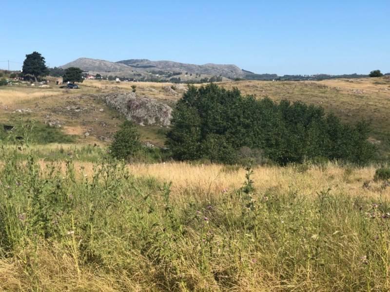 Venta Ultimos 5 Lotes Disponibles Barrio Residencial "Tandil" 2