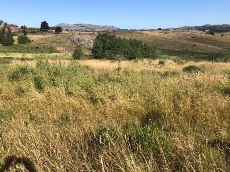 Venta Ultimos 5 Lotes Disponibles Barrio Residencial "Tandil" 3