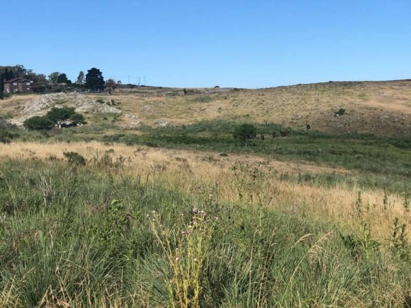Venta Ultimos 5 Lotes Disponibles Barrio Residencial "Tandil" 4