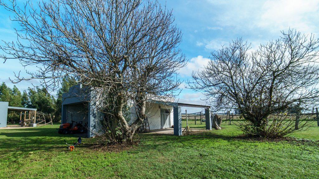 Foto de VENTA CAMPO APTUTUD AGRICOLA "BALCARCE", imagen 3