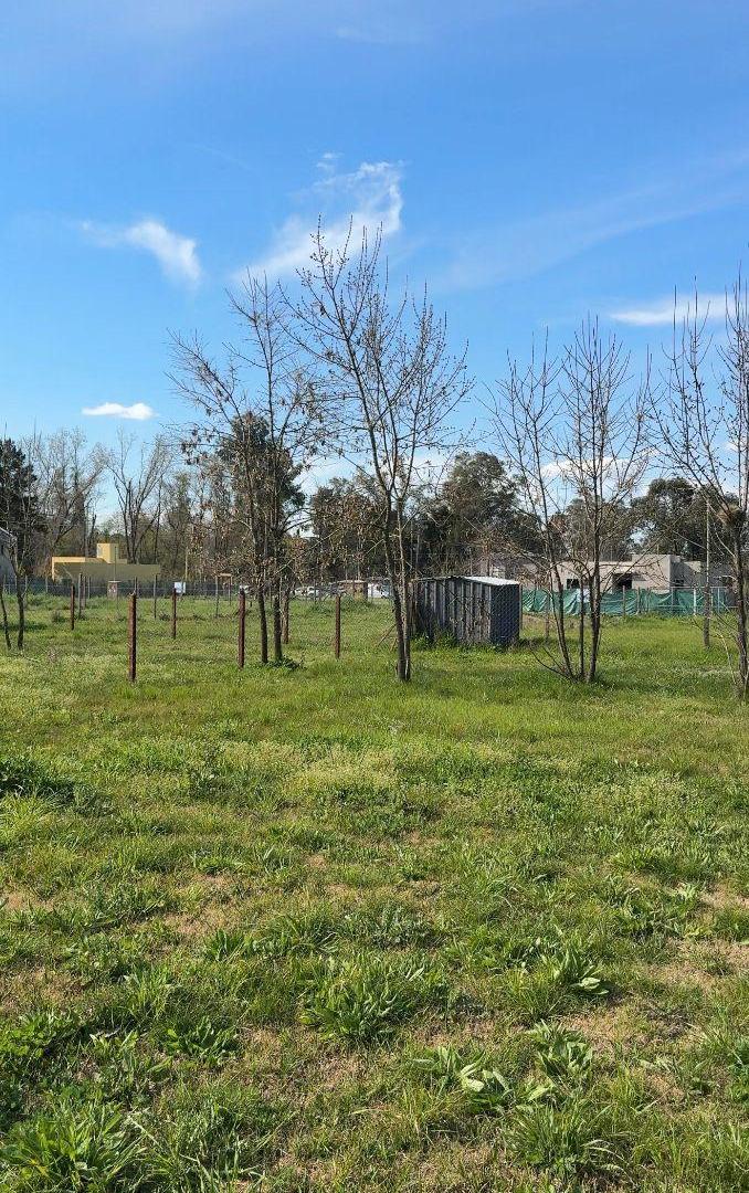 Foto de Hermoso Lote en Pampa Pilar con financiación., imagen 4