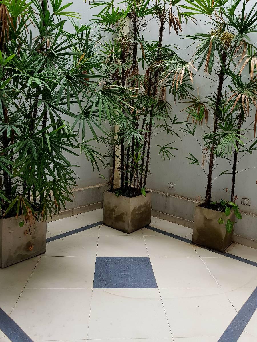 Oficinas Comerciales 100 m² 3