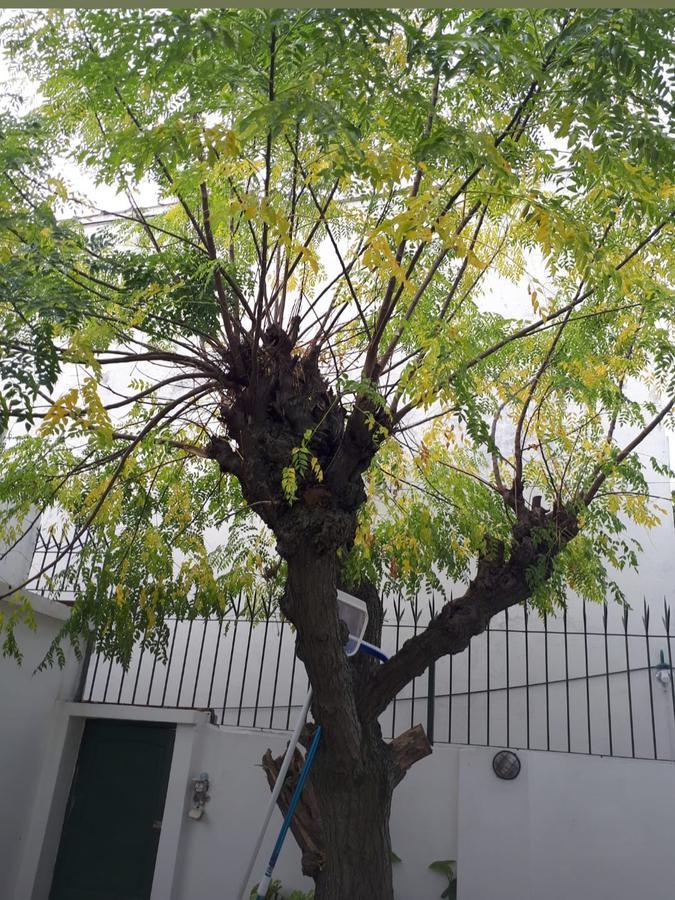 Casa - Avellaneda 4
