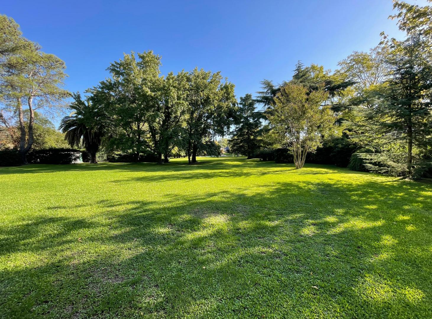 Tortugas country club , Excelente lote muy arbolado en el centro del club 