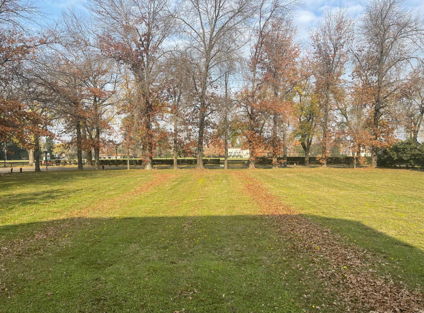 LOTE  en Tortugas Country Club