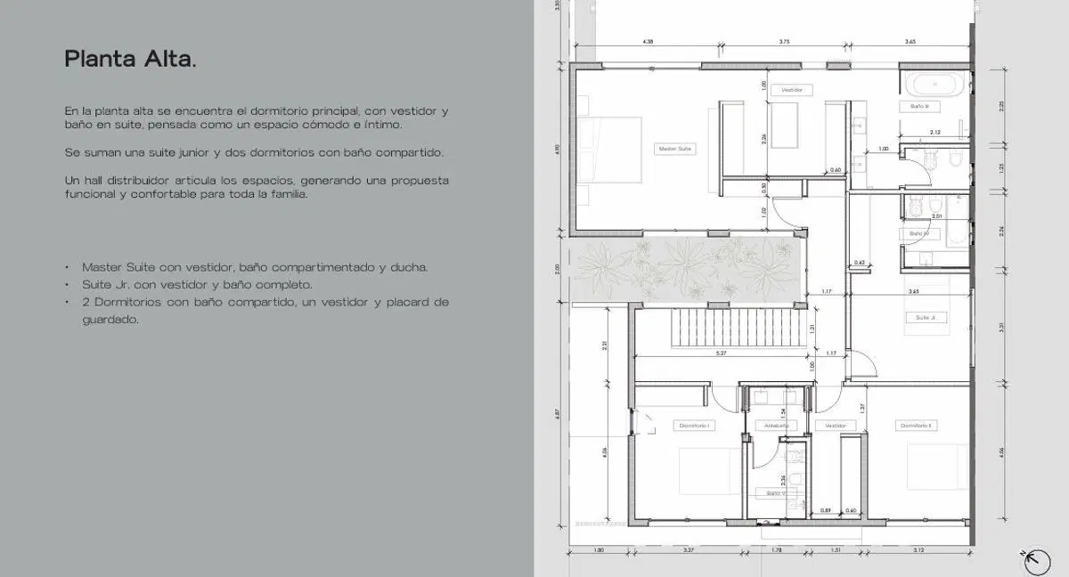 Plano 3