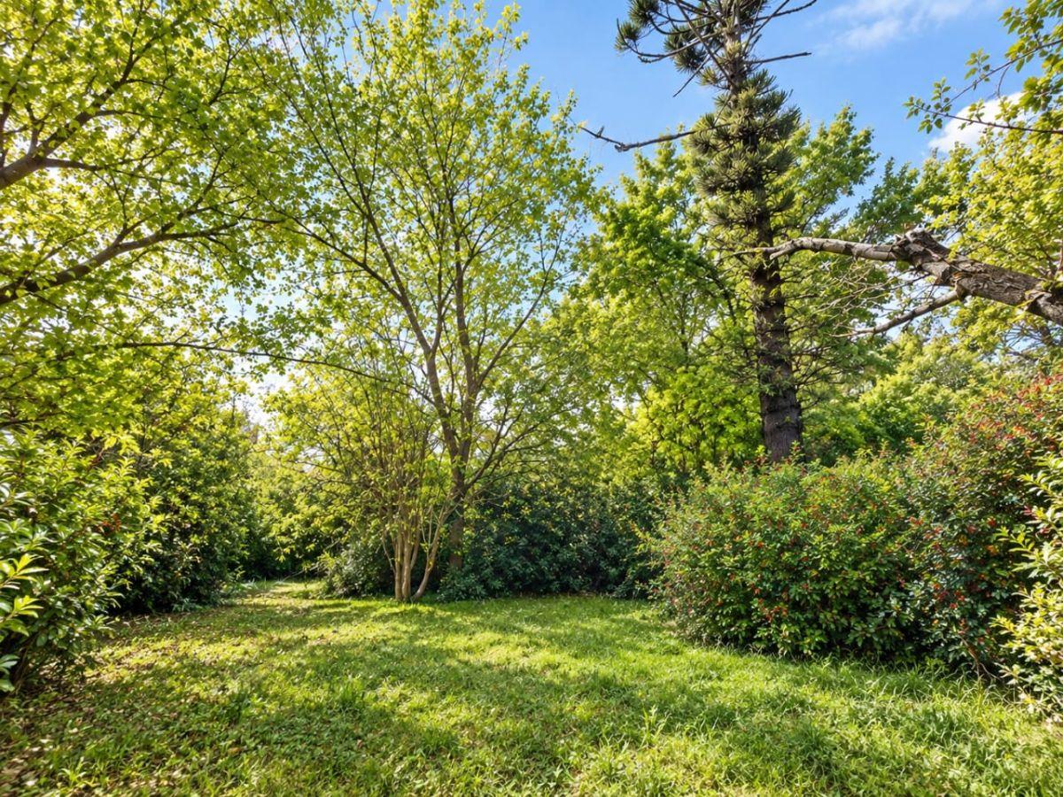 Foto de Lote exclusivo arbolado en venta en el Barrio La chacra, imagen 5