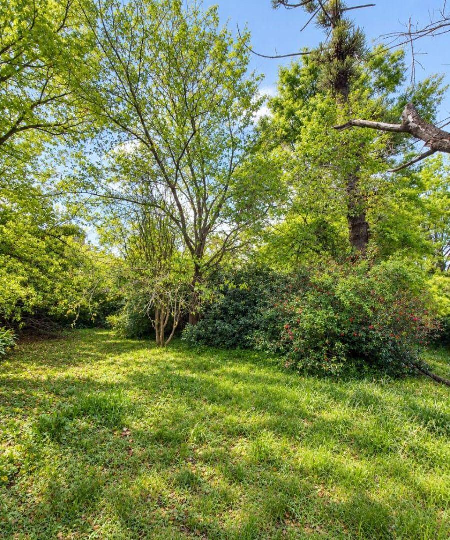 Foto de Lote exclusivo arbolado en venta en el Barrio La chacra, imagen 2