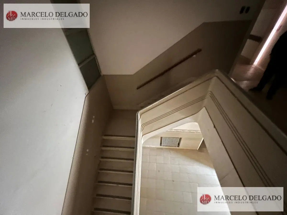 Local - Necochea 5