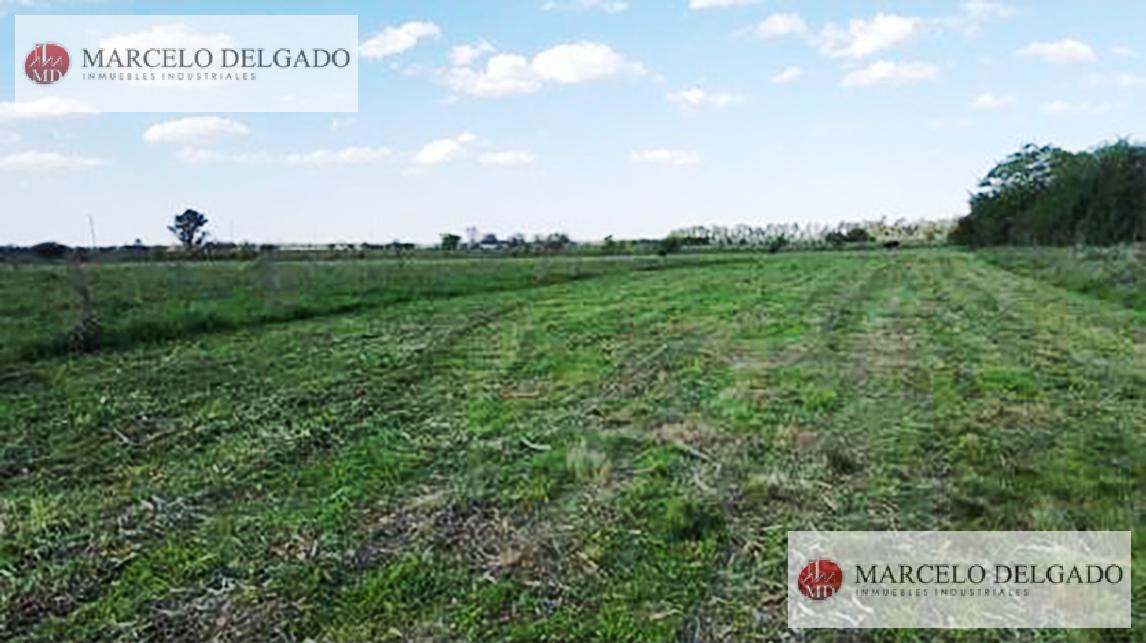 Fracción de 9 hectáreas en Guernica – Ideal Barrio Privado - Venta