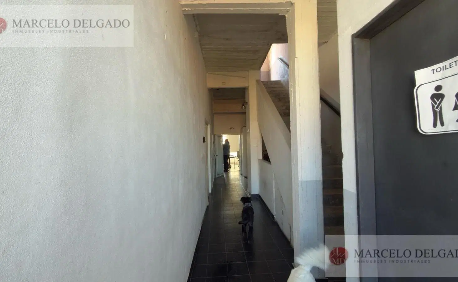 Deposito - galpón  de 250 m2  en Parque Patricios en Alquiler 2