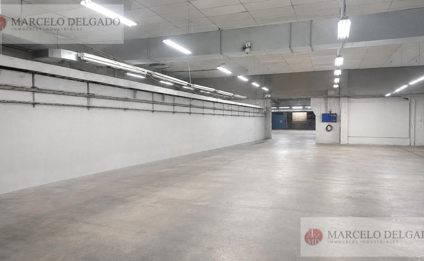 Foto de Depósito - Galpón de 1275 m2 playa - Villa Martelli - ALQUILER, imagen 5