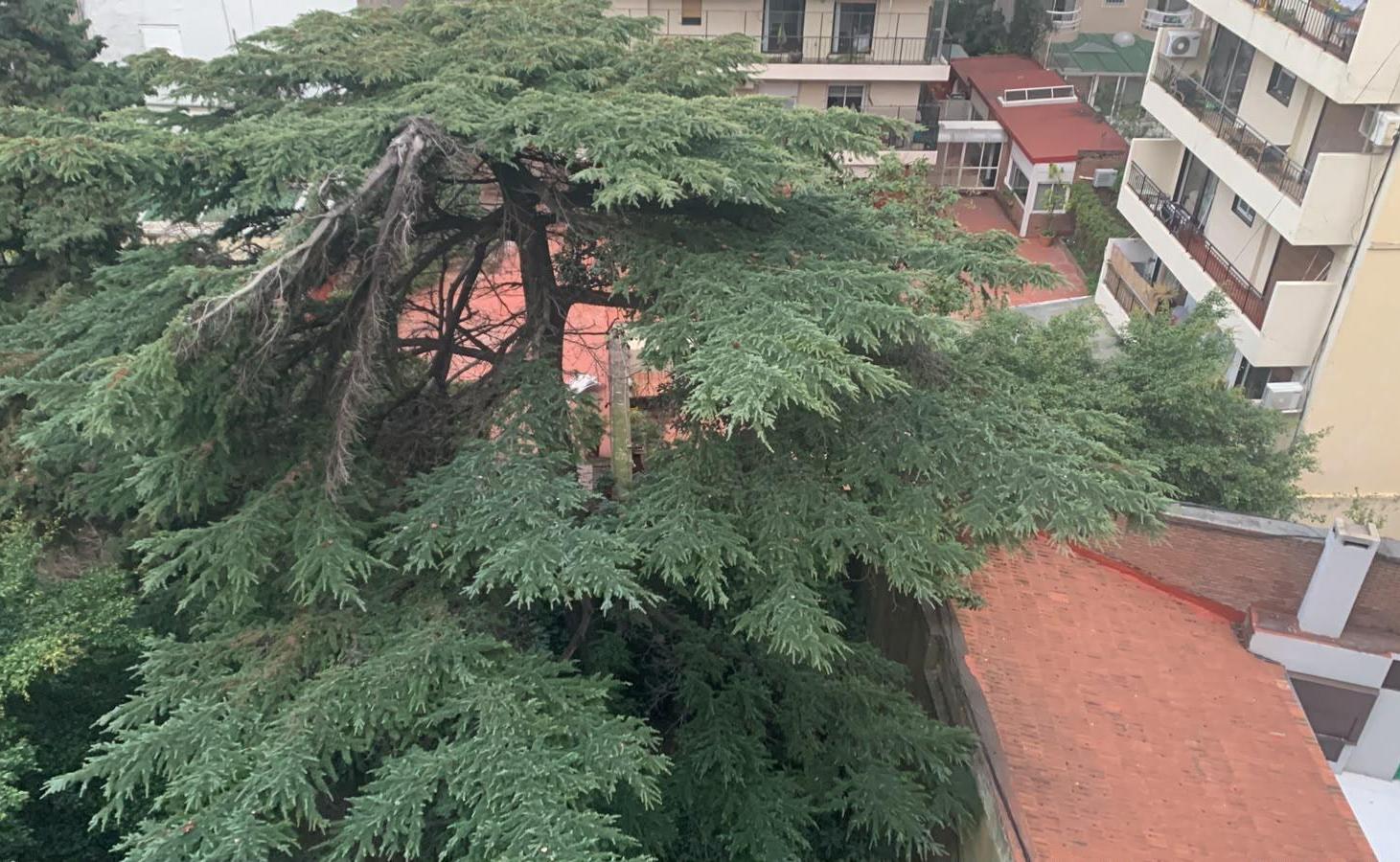 Foto de Departamento de 3 ambientes con balcón y dependencias en Las Cañitas, imagen 4