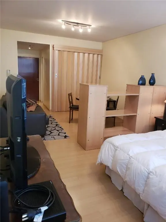 DEPARTAMENTO 1 AMBIENTE - RECOLETA, CAPITAL FEDERAL 2