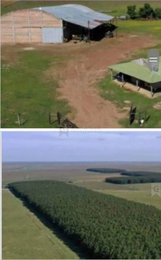 Terreno Campo en Venta en Pilar, G.B.A. Zona Norte, Argentina 4