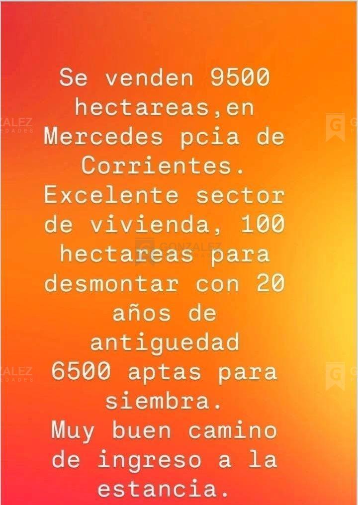 Foto de Terreno Campo en Venta en Pilar, G.B.A. Zona Norte, Argentina, imagen 3