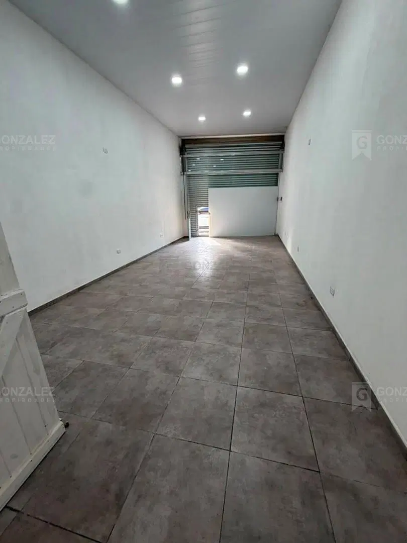 Local  en Alquiler en Villa Rosa, Pilar, G.B.A. Zona Norte 3