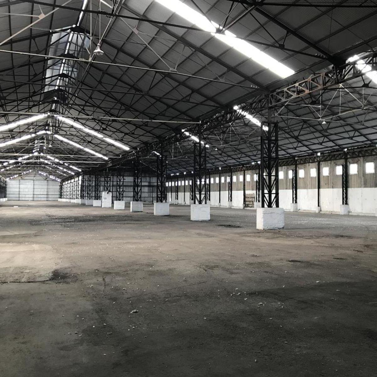 Ruta 21 - Galpón 8223 m² 2
