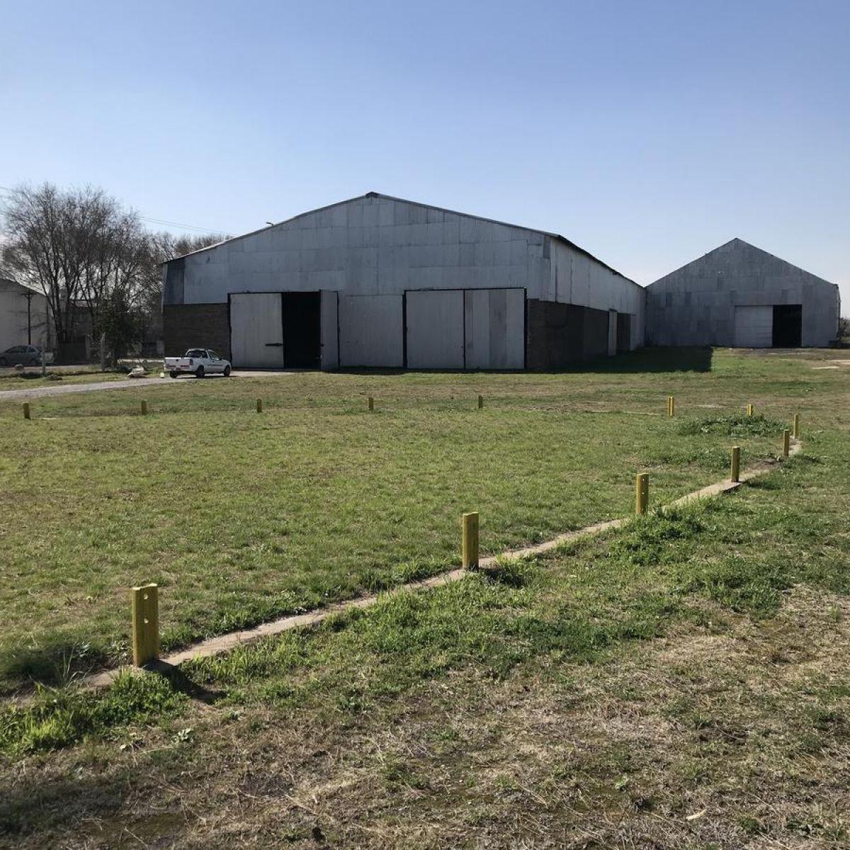 Ruta 21 - Galpón 8223 m² 4