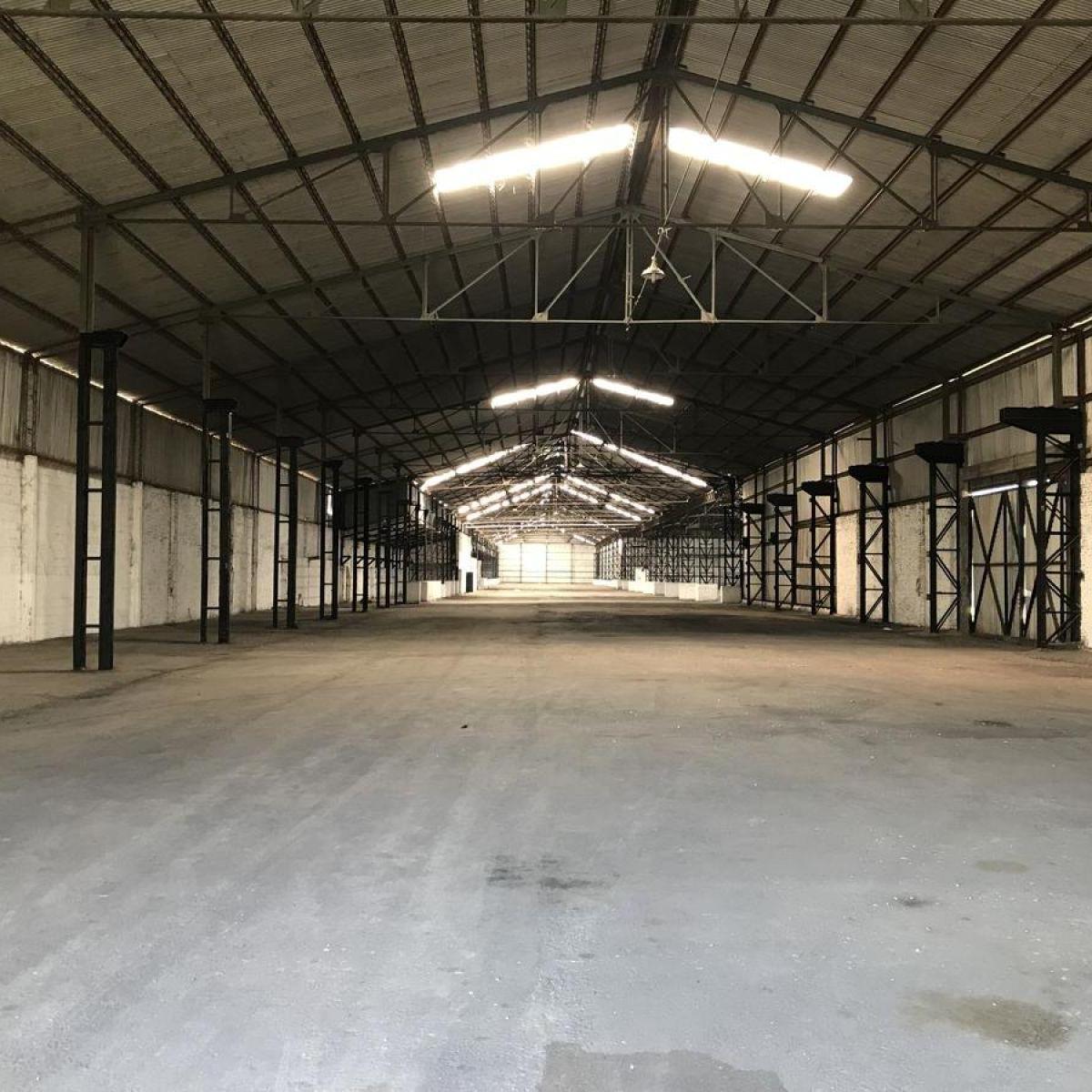Ruta 21 - Galpón 8223 m² 5