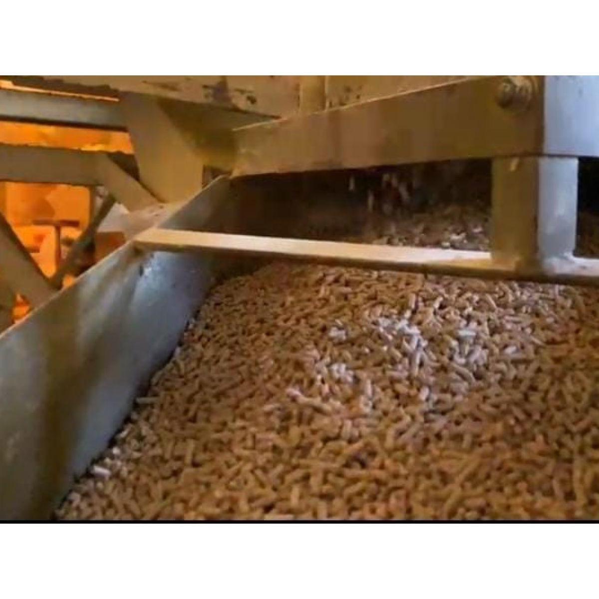 Planta de Alimentos Balanceados