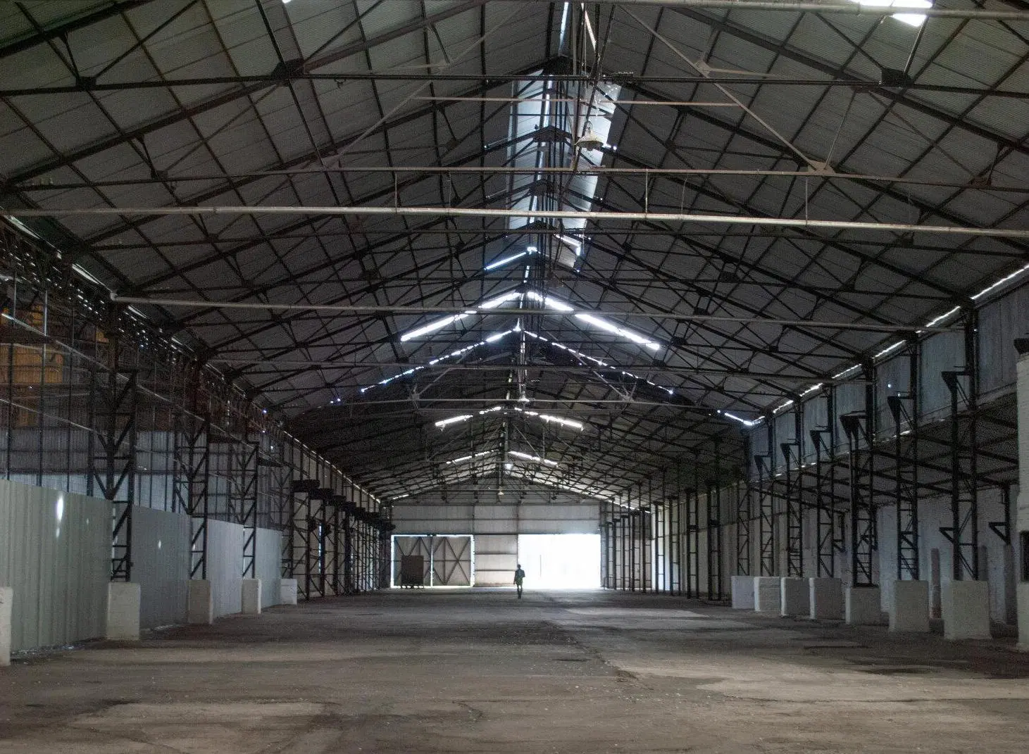 Nave 8200 m² - Ruta 21 km 3,5 - Alvear 2