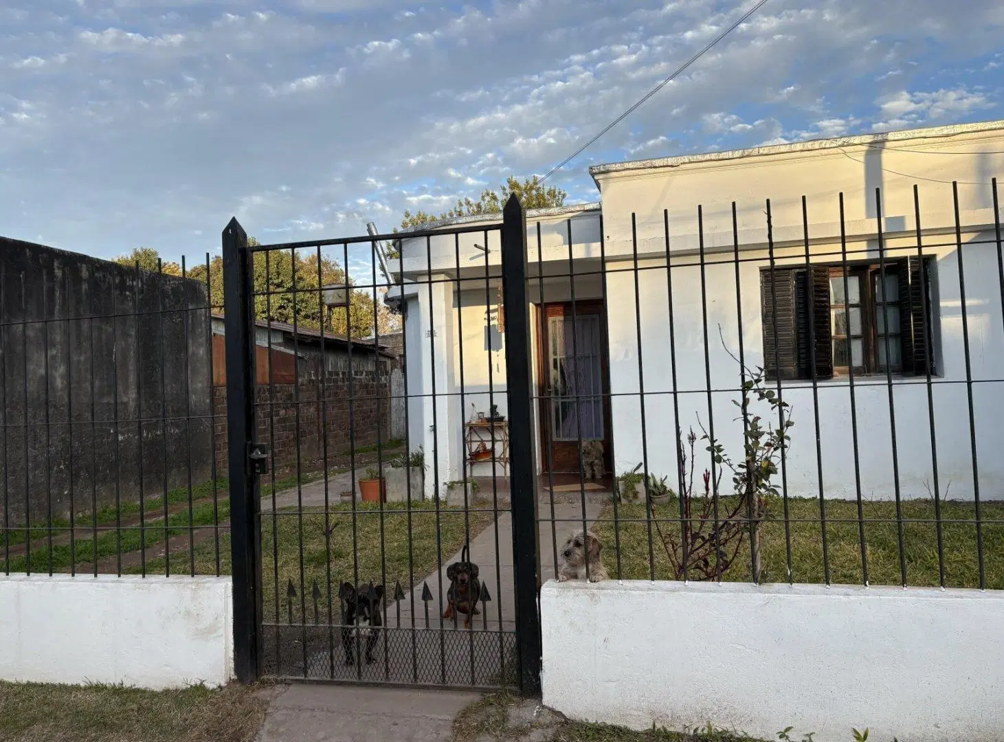 Casa de 2 dormitorios con quincho y parillero - San Martin 2161 4