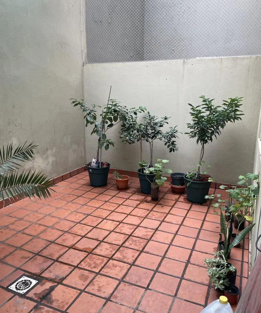 Mitre 1425 - Departamento de 1 dormitorio en Planta Baja 8