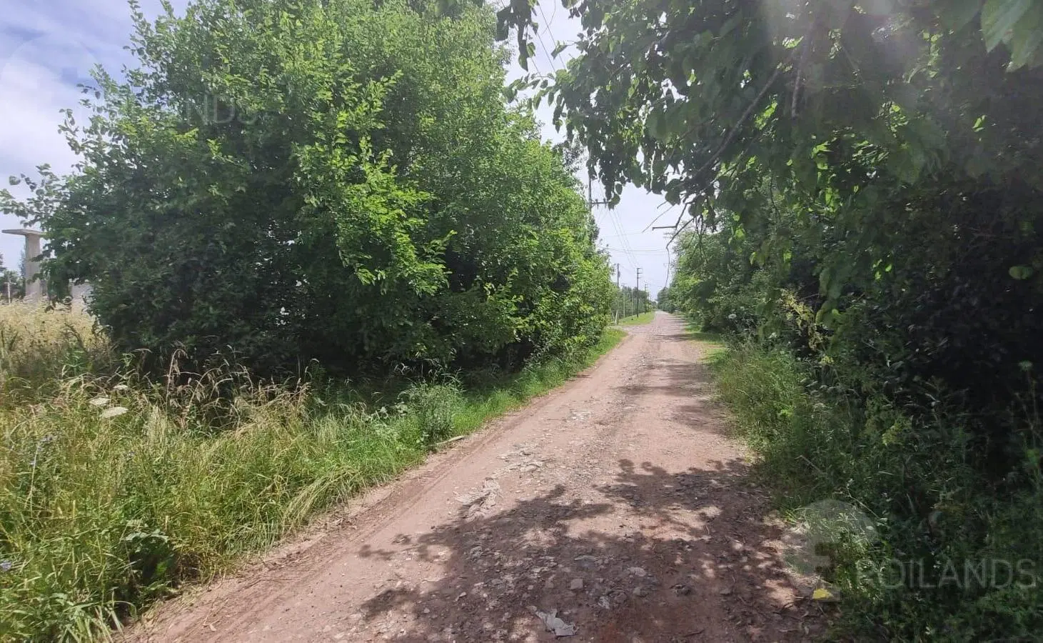 Venta Lote 2585 m2 con acceso inmediato a Autovía Ezeiza- Vicente Casares - Cañuelas 5