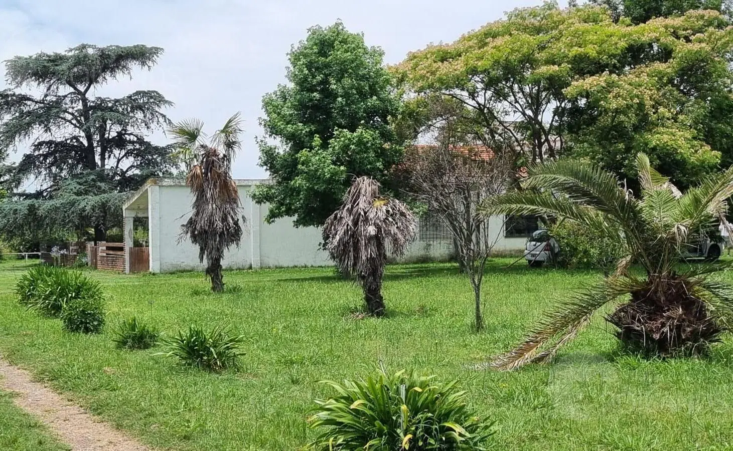 Venta Casa más Galpón sobre Lote 8800m2 sobre Colectora Ezeiza • Vicente Casares (Cañuelas) 5