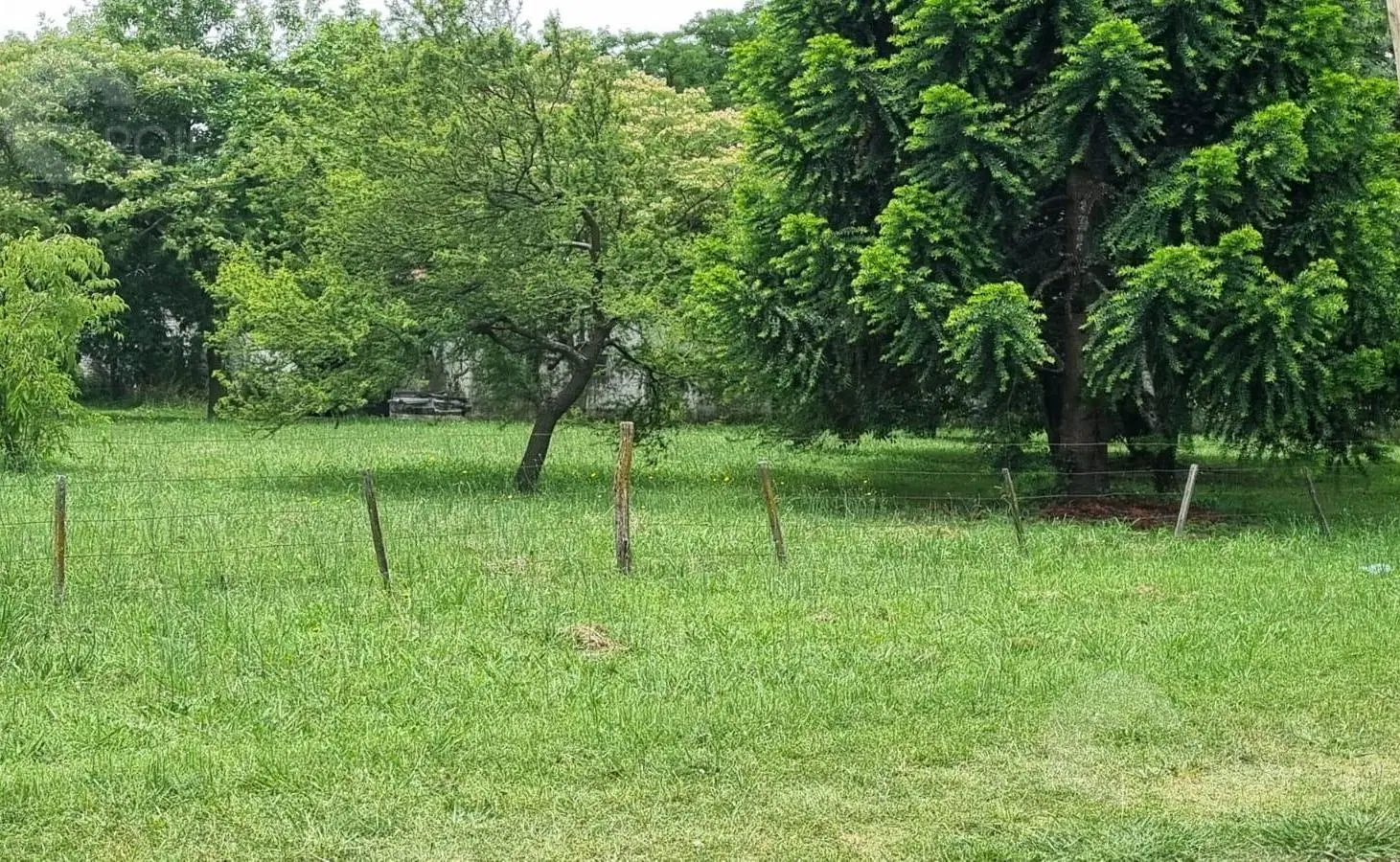 Venta Lote 8.800 m² con Casa y Galpón sobre Colectora Ezeiza • Vicente Casares (Cañuelas) 4