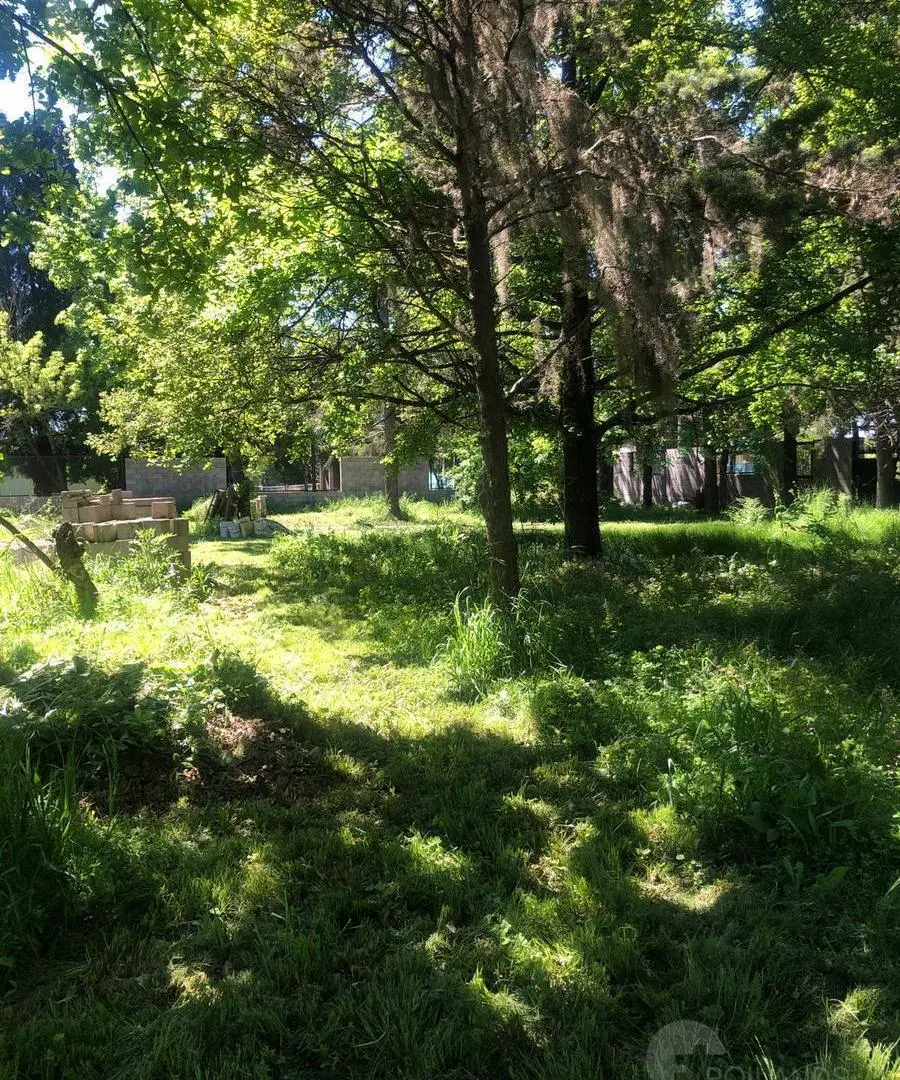 Terreno de 26.000 m2 en Champagnat, Pilar 3