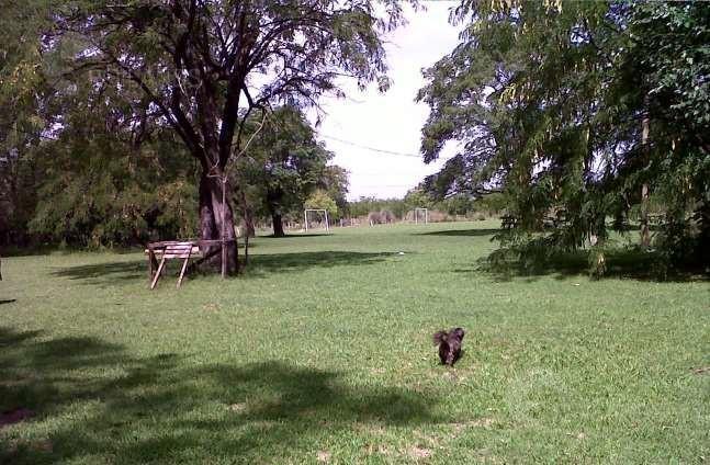 Foto de Venta Terreno Predio en Escobar, imagen 3