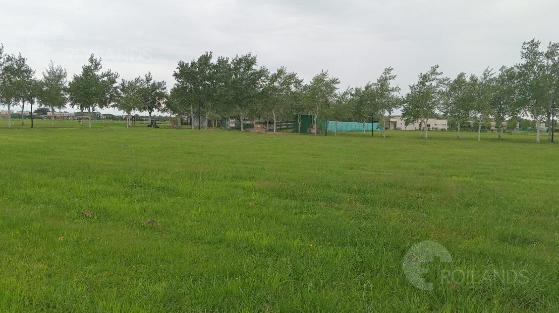 Foto de VENTA LOTE con vista a la cancha de golf, Barrio Los Alamos, Harras del, imagen 2