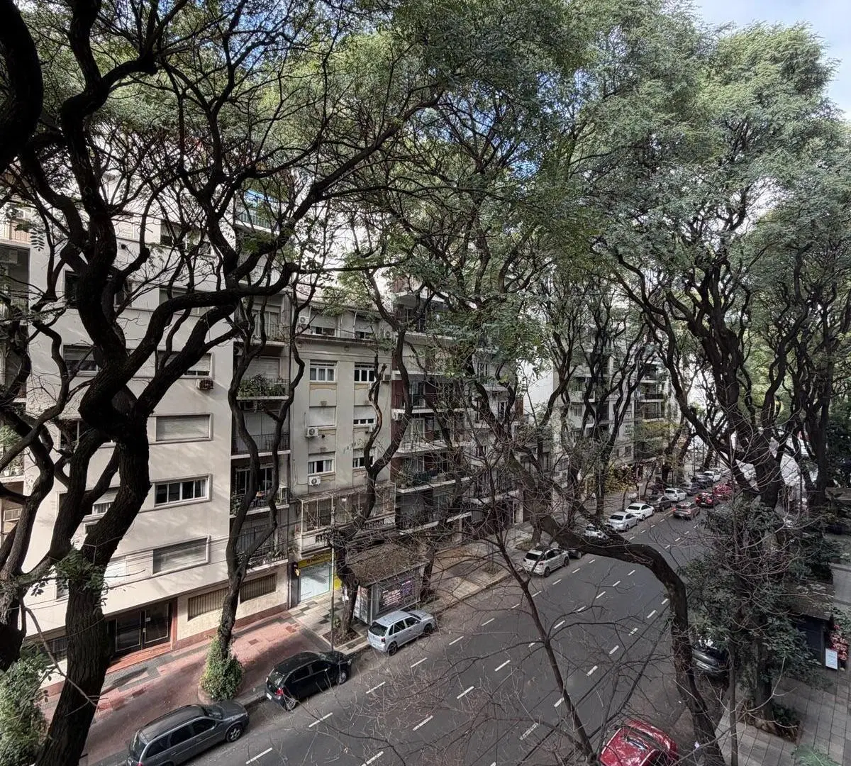 Departamento en Palermo 4