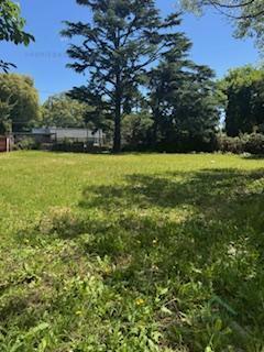 Foto de Terreno en Santa Rita, imagen 4
