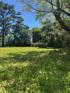 Foto de Terreno en Santa Rita, imagen 3