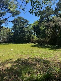 Foto de Terreno en Santa Rita, imagen 2
