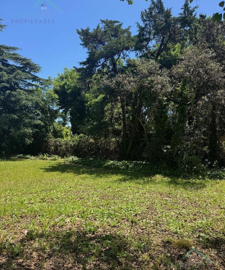 Foto de Terreno en Santa Rita, imagen 1